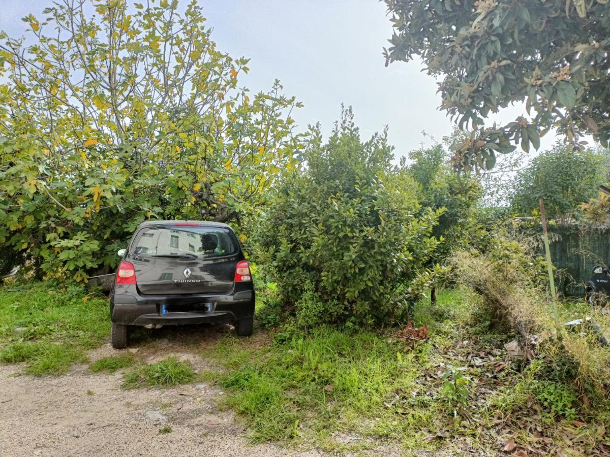 Un Bel Appartement Rez Jardin Parking Gratuit Vence Extérieur photo